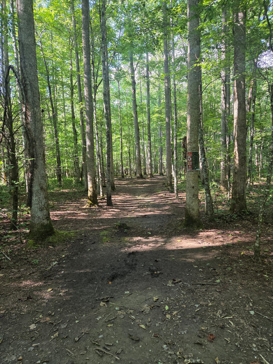 Disc Golf in North Carolina - DiscIn