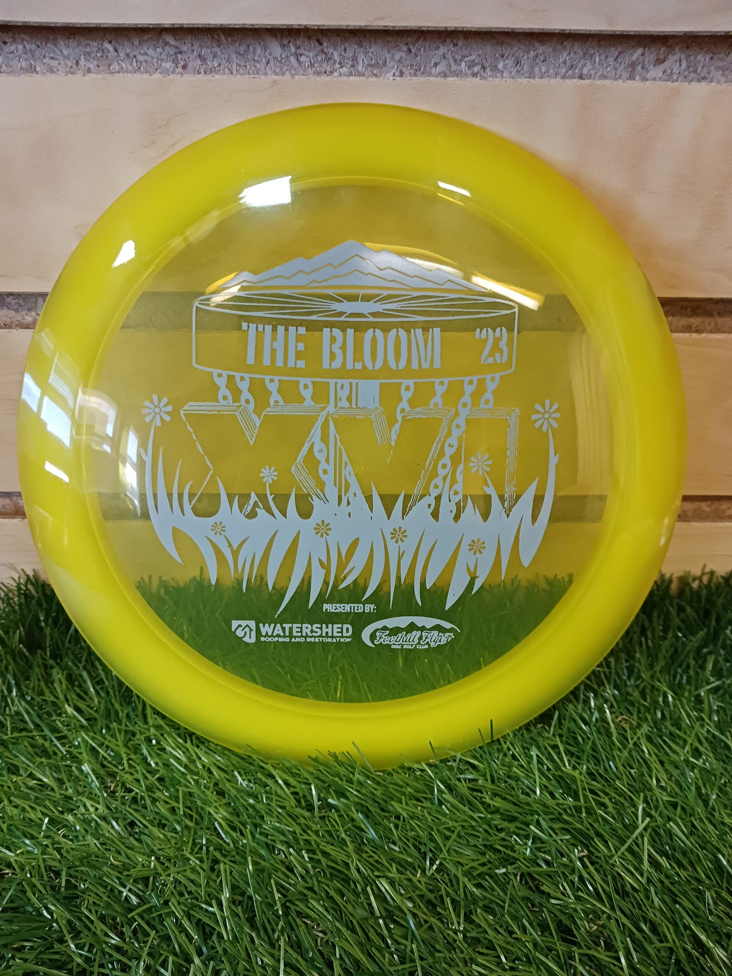 Discmania Astronaut - DiscIn