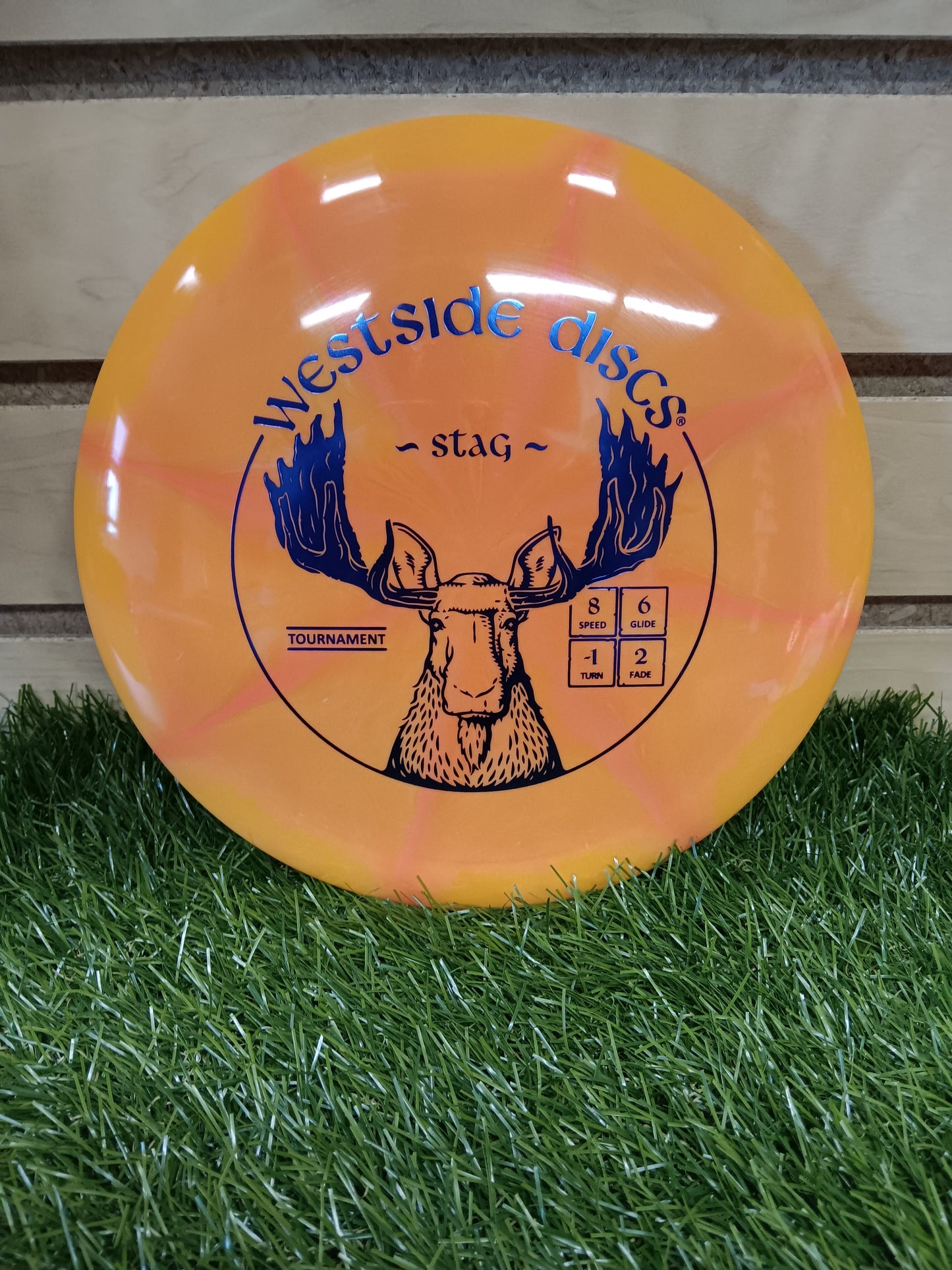 Westside Tournament Stag - DiscIn