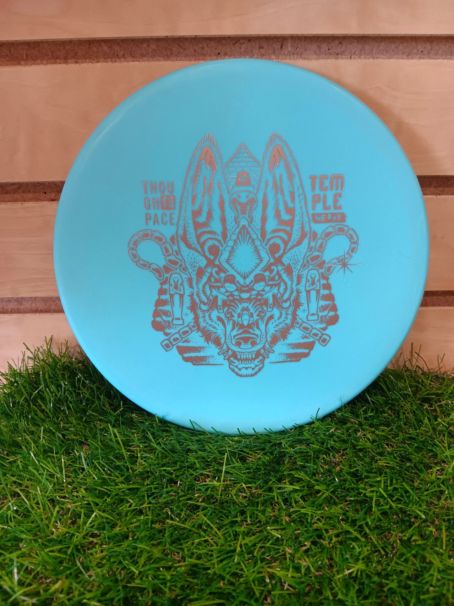 Thought Space Nerve Temple - DiscIn