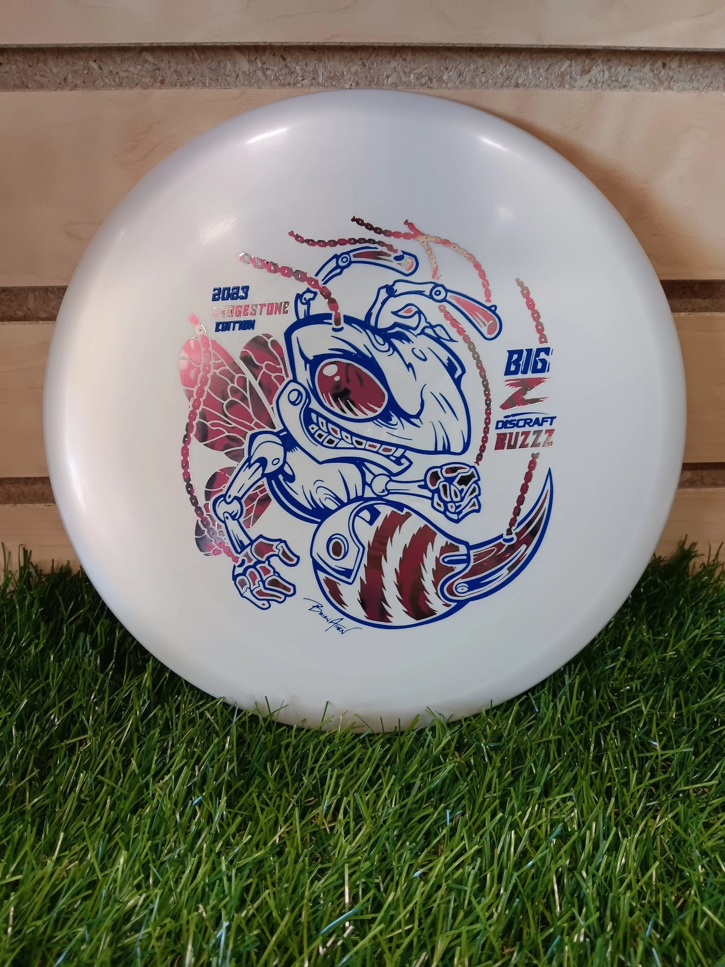Discraft Big Z Buzzz - DiscIn