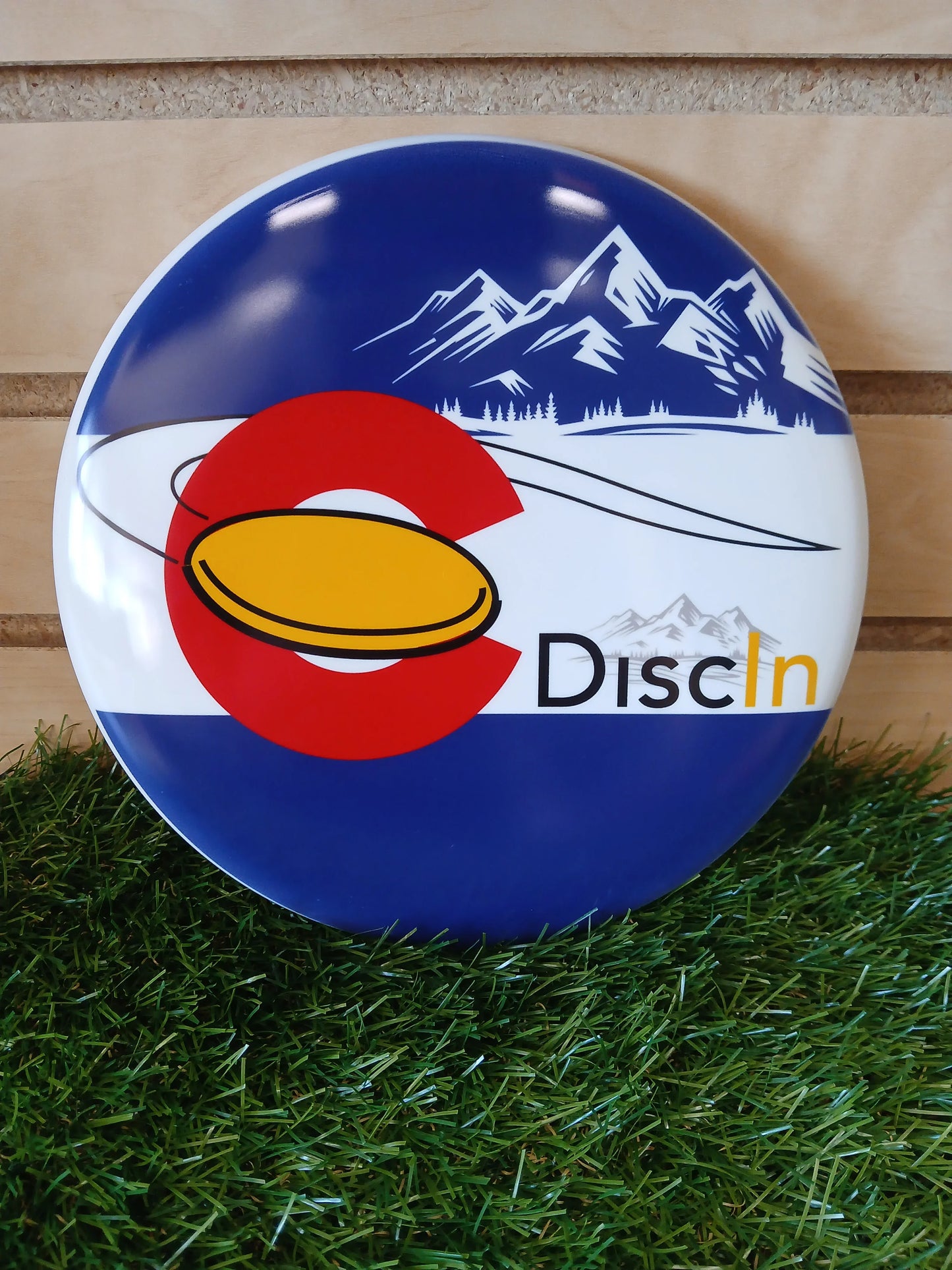 Dynamic Fuzion Judge - DiscIn