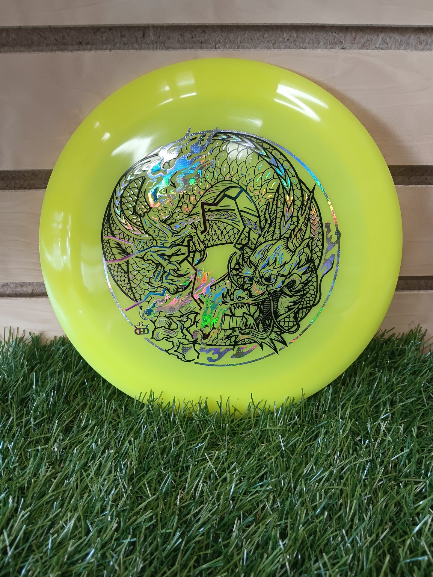 Dynamic Hybird Raider