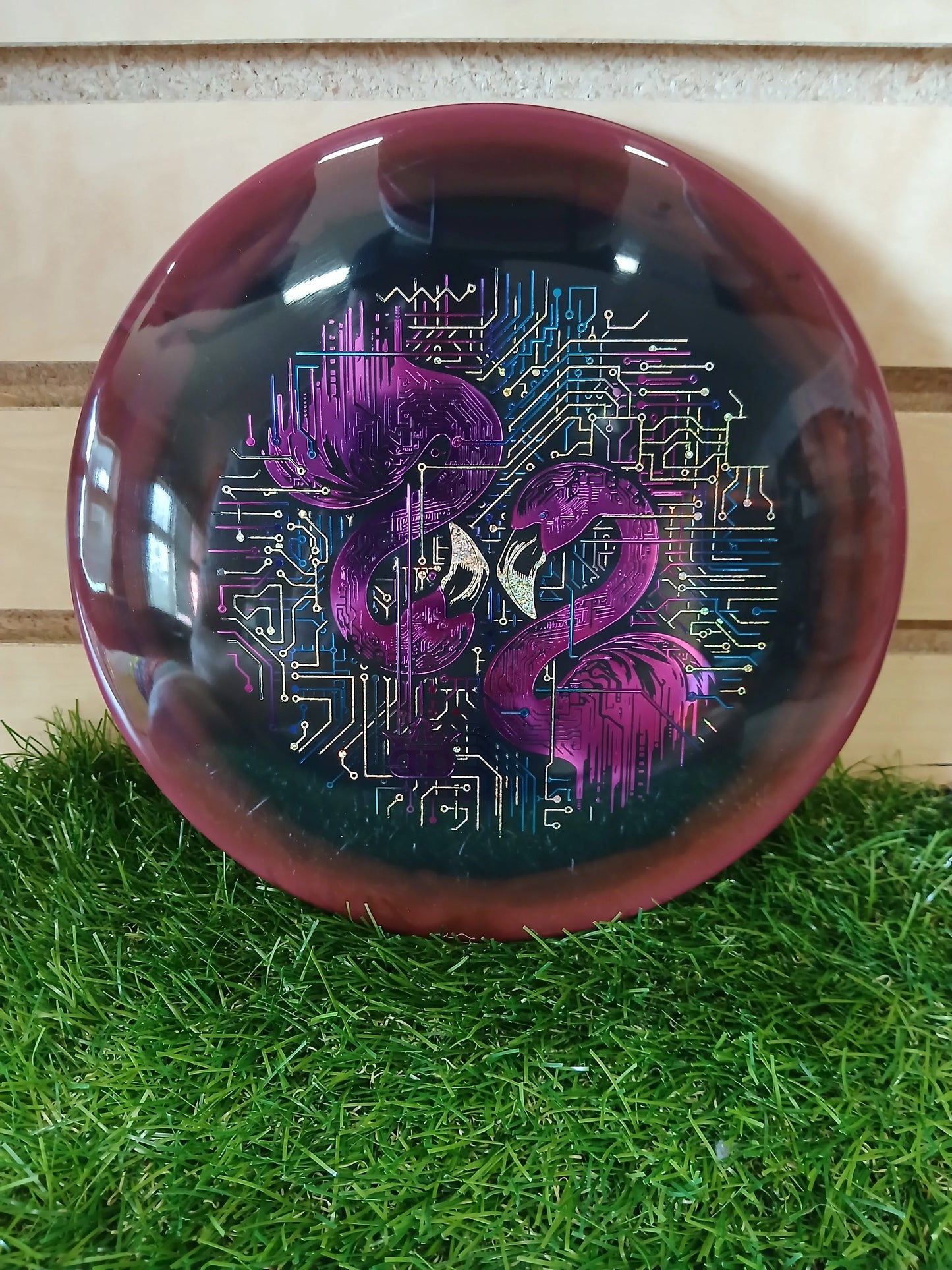 Dynamic Lucid Orbit Jury - DiscIn